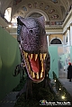 VBS_0976 - Dinosauri. Terra dei giganti